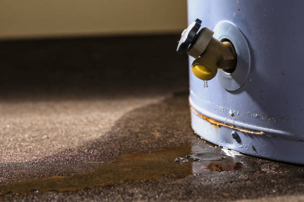 Best Flood damage cleanup  in Palm Desert, CA