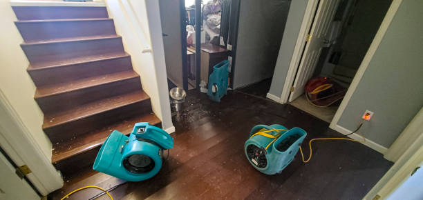 Best Fire Damage Restoration  in Palm Desert, CA